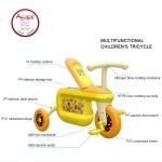 Tricycle Bike Factory - OEM Custom 3 Wheel Bicycle