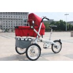 Parent-Child Tricycle Supplier - OEM Custom 20-Inch Bicycle