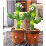 Cactus Plush Toy Factory - OEM Custom Electric Talking