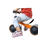 No-Pedal Bike Factory - OEM Custom Competitive Price