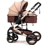 Baby Pram Manufacturer - Multicolor Luxury 2-in-1 Foldable