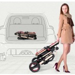 Baby Pram Manufacturer - Multicolor Luxury 2-in-1 Foldable