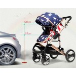 Baby Pram Manufacturer - Multicolor Luxury 2-in-1 Foldable
