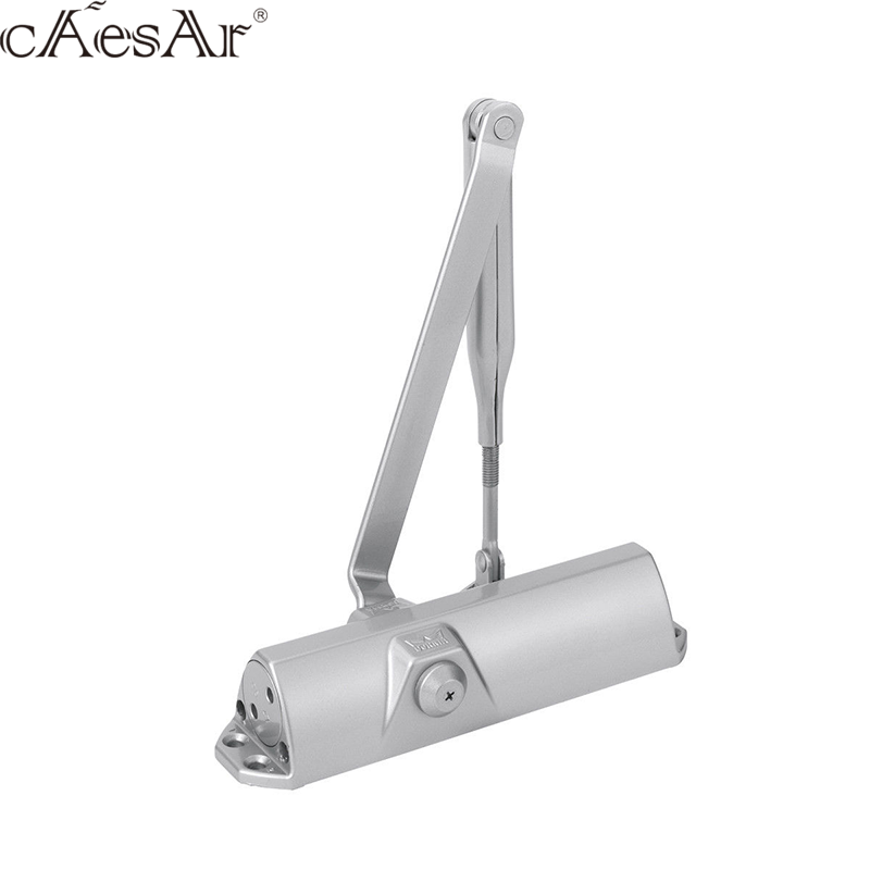 Door Closer Manufacturer - Dorma TS68 Mini Door Closer