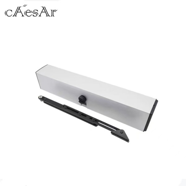 Swing Door Operator Manufacturer - ESW-100 Push Arm Operator