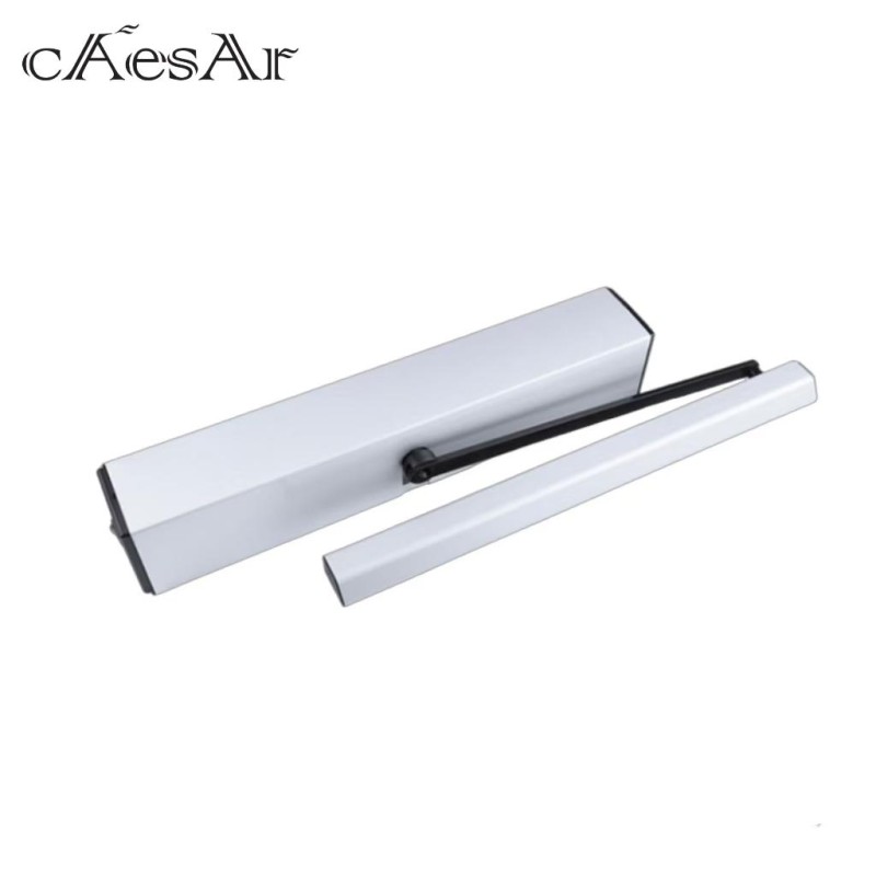 Swing Door Factory - ESW-100 Economic Swing System