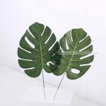 Preserved Leaves Factory - Real Touch Wedding Decor