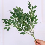 Artificial Green Leaves Manufacturer - Preserved Plant Decor