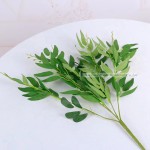 Artificial Green Leaves Manufacturer - Preserved Plant Decor