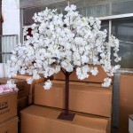 Cherry Blossom Tree Factory - Custom Wedding Background