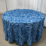 OPP Tablecloth Factory - Disposable Photo Backdrop