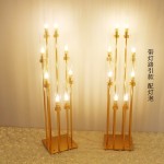 Metal Candlestick Manufacturer - Acrylic Shade Candle Set