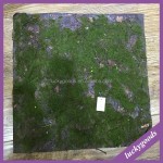 Preserved Moss Panel Manufacturer - Green Wall Backdrop