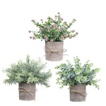 Mini Bonsai Set Manufacturer - Plastic Potted Home Decor