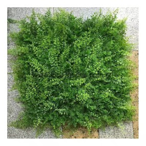 Artificial Grass Wall Factory - Green Backdrop Decor