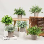Mini Bonsai Pot Factory - Artificial Eucalyptus Plants