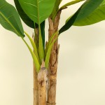 Artificial Banana Tree Manufacturer - Large Indoor Plant