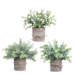 Mini Bonsai Set Manufacturer - Plastic Potted Home Decor