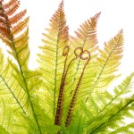 Artificial Fern Factory - Plastic Boston Wall Decor