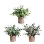 Mini Bonsai Set Manufacturer - Plastic Potted Home Decor