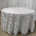 OPP Tablecloth Factory - Disposable Photo Backdrop