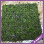 Preserved Moss Panel Manufacturer - Green Wall Backdrop