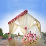 Backdrop Frame Manufacturer - Adjustable Pipe Drape Kit