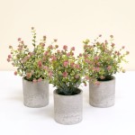 Faux Bonsai Set Factory - Plastic Potted Plant Decor