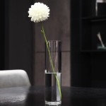 Cylinder Glass Vase Manufacturer - Custom Logo Wedding Decor