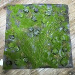 Preserved Moss Panel Manufacturer - Green Wall Backdrop