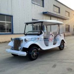 Mini Jeep Manufacturer - Factory Wholesale Electric Gas Adults 4x4