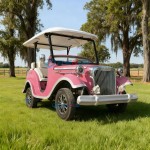 Antique Car Manufacturer - Electric Four-wheel 11 Seat Retro Scenic