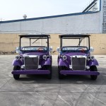 Electric Golf Cart Factory - Hot Selling 8 Seater Custom Low Prices