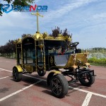 Horse Hearse Factory - Classic Black Gold Special Funeral Industry