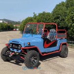 Electric Jeep Manufacturer - Off Road Mini Model 300cc Adult