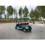 Electric Buggy Factory - 4 Passenger Off Road Tires Lithium Battery