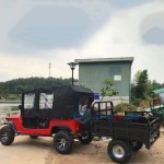 Off Road Vehicle Factory - Hot Selling 4WD Beach Buggy Go Kart