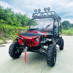 Dune Buggy Factory - Electric 4x4 Multi-purpose Gasoline Cars