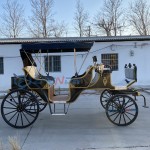 Electric Carriage Manufacturer - Black Four Wheel Sightseeing Vehicle