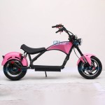 Electric Bike Manufacturer - Hot Selling Seat Two-wheeled CE Certified