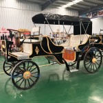 Sightseeing Carriage Factory - Black Convertible Electric Wedding Carriage