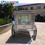 Wedding Carriage Factory - Air Conditioned White Electric Royal