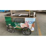 Rickshaw Trolley Factory - Custom Ice Cream Fast Food Hand Trailer