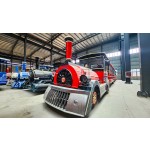 Amusement Rides Factory - Best Selling Theme Park Outdoor Electric