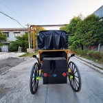 Electric Carriage Factory - Black 6 Seats CE Certified Stage Coach