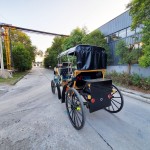 Electric Carriage Factory - Black 6 Seats CE Certified Stage Coach