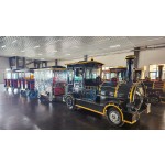 Electric Sightseeing Bus Manufacturer - New Product Unique Shape Wholesale