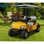 Electric Golf Cart Factory - Competitive Price 4 Seats Rain Cover Self Designed