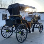 Electric Carriage Manufacturer - Black Four Wheel Sightseeing Vehicle