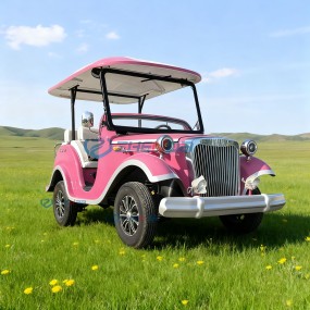 Antique Car Manufacturer - Electric Four-wheel 11 Seat Retro Scenic